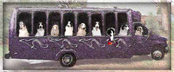 Bus Banner